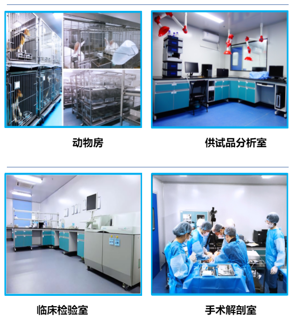 7790�ط�����(�й�)���޹�˾-�ѹ��ٿ�