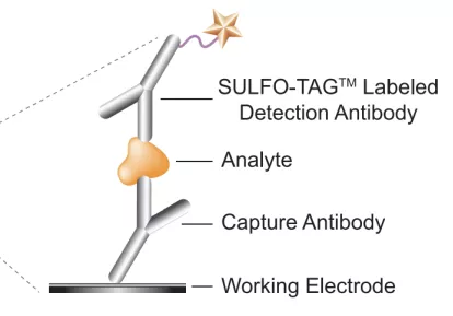7790�ط�����(�й�)���޹�˾-�ѹ��ٿ�