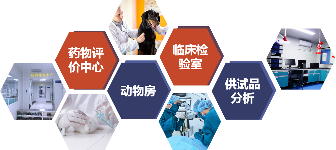 7790�ط�����(�й�)���޹�˾-�ѹ��ٿ�