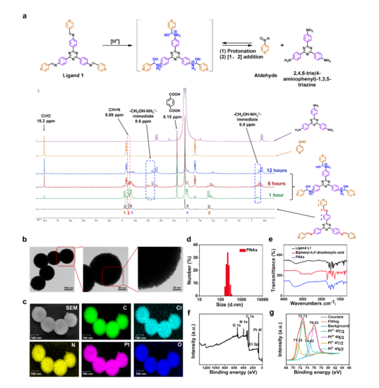 7790必发集团(中国)有限公司-搜狗百科