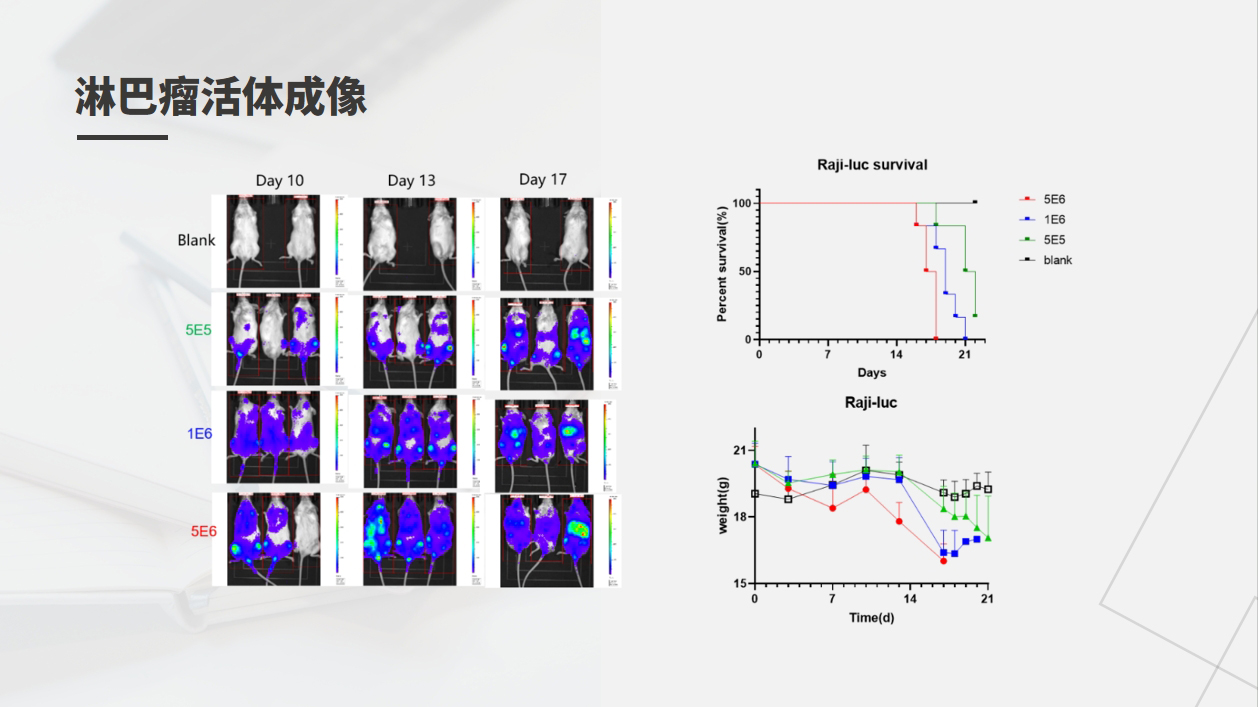 7790�ط�����(�й�)���޹�˾-�ѹ��ٿ�