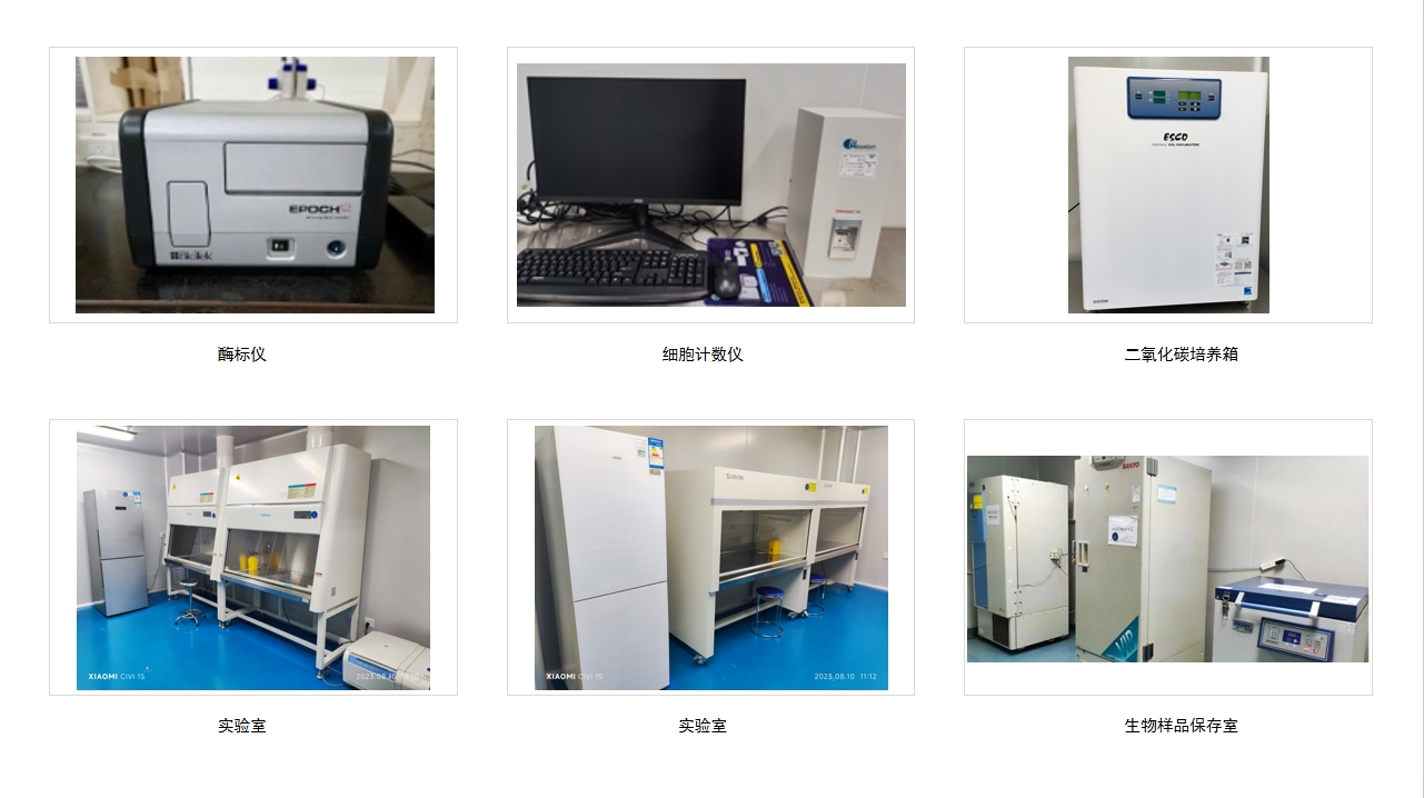 7790�ط�����(�й�)���޹�˾-�ѹ��ٿ�