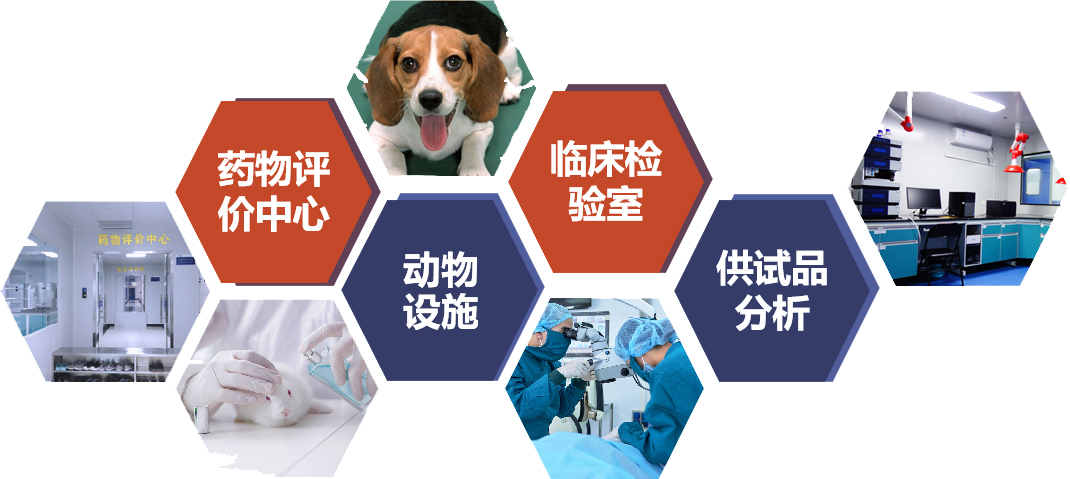 7790±Ø·¢¼¯ÍÅ(Öйú)ÓÐÏÞ¹«Ë¾-Ëѹ·°Ù¿Æ