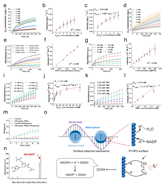 7790�ط�����(�й�)���޹�˾-�ѹ��ٿ�