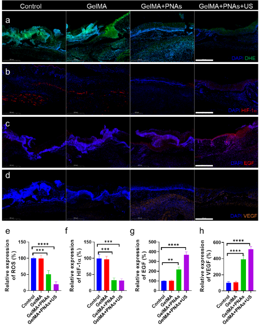 7790�ط�����(�й�)���޹�˾-�ѹ��ٿ�