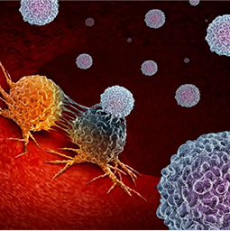 �ٴ�һ����Ӫ����BE/PK/PD/FIH����Ŀ�Լ����ơ��񾭿ơ�����������������н�������