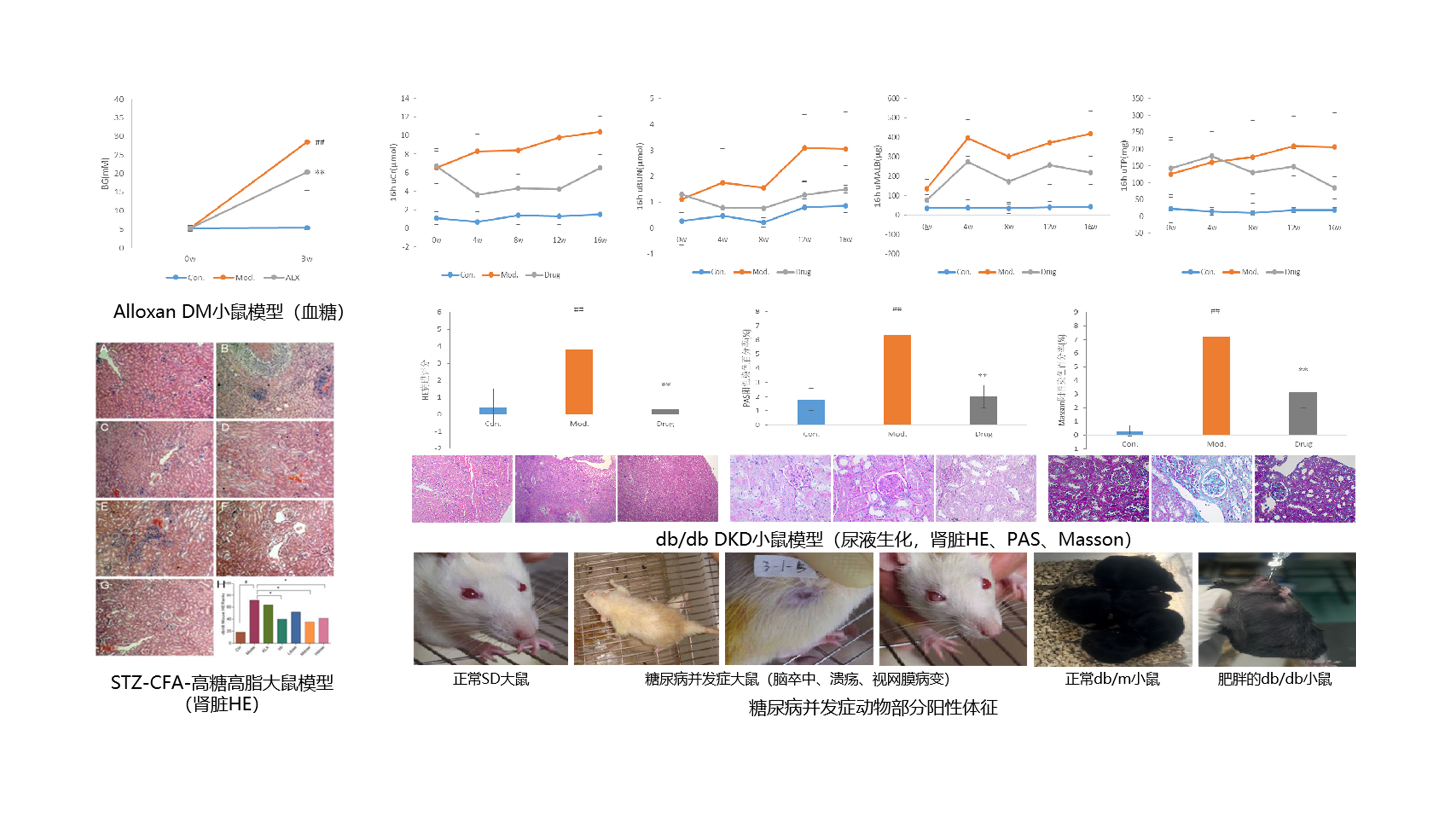 ���������򲡼�����֢ģ��