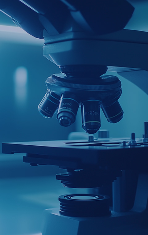 临床前研究服务