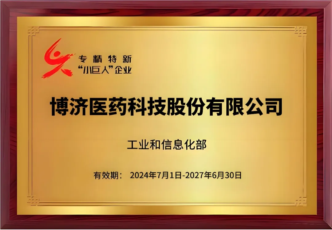 国家级专精特新“小巨人”企业