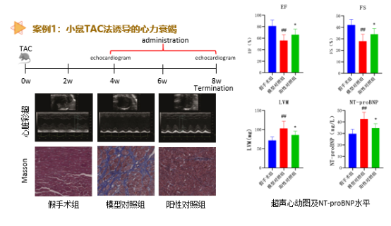 7790必发集团(中国)有限公司-搜狗百科