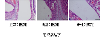 7790必发集团(中国)有限公司-搜狗百科