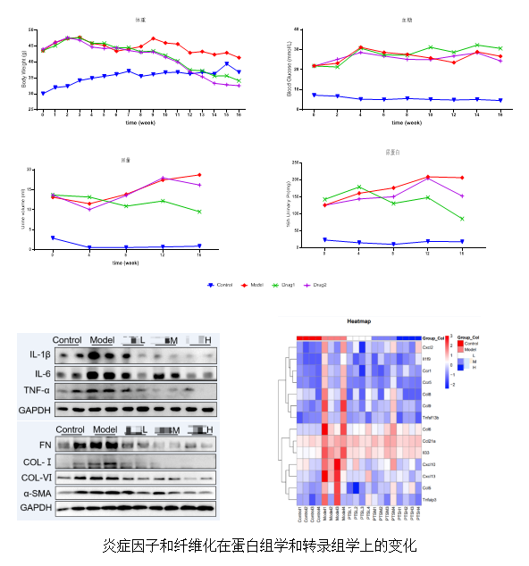 7790必发集团(中国)有限公司-搜狗百科