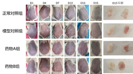 7790必发集团(中国)有限公司-搜狗百科