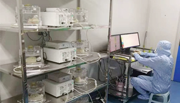 EMKA-WBP全身体积描记肺功效系统